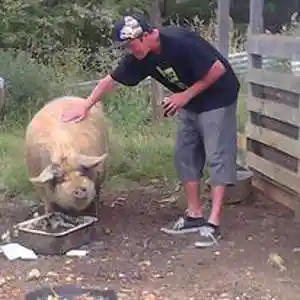 Picture for song 'mcwillisnz_ibeenwaitingforyoumcwillisdjdope' by artist 'MC WILLIS'