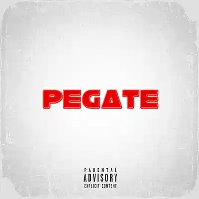 Picture for song 'Roval-Pegate Reggaeton' by artist 'ROVAL BEATS'