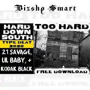 Picture for song 'Too Hard' by artist 'Bizshp Smart'