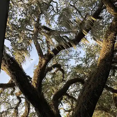 Picture for song 'Mucho Escribiendo Mucho No Se'' by artist 'JimRoss'