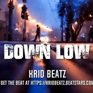 Picture for song 'Down Low' by artist 'Krid Beatz'