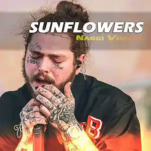 Song picture