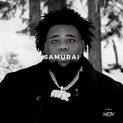 Picture for song 'Samurai (Buy 1 Get 10 Free)' by artist 'Kontraa'