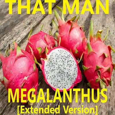 Picture for song 'BONUS TRACK Megalanthus [Extended Version]' by artist 'That Man'