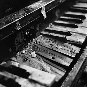 Picture for song 'ANTONIO' by artist 'Wade STN'