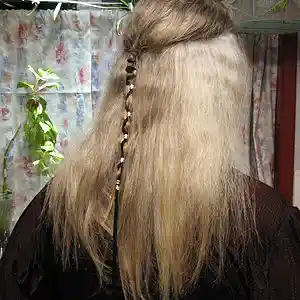 Picture for song 'Almost Cut My Hair' by artist 'Bryan Knight aka Knight Flight'