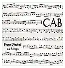 Picture for song 'Figment of Imagination' by artist 'CAB (Indiana)'