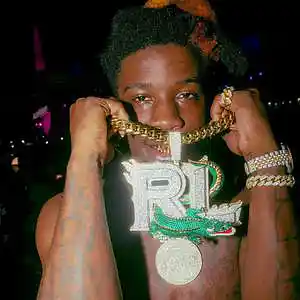 Picture for song '"Blaze Of Regret" Hotboii Type Beat' by artist 'Dafool11'