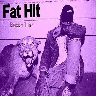 Picture for song 'Bryson Tiller' by artist 'Fat Hit'