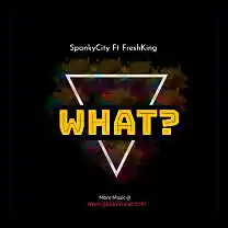 Picture for song 'Spankycity Ft Freshking _ What [ M&M by Freshking ' by artist 'Spankycity'