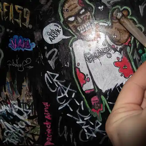 cover pic