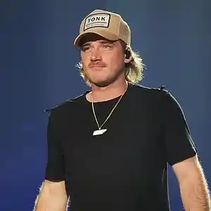 Picture for song 'Holding Hands - Morgan Wallen Type Beat' by artist 'Milanmadeit'