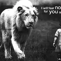 Picture for song '-=Fear No Evil=-' by artist 'Phinergy'