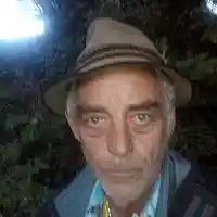 Picture for song 'HONEYMOON TWIST' by artist 'SHANE TREACY AND THE SUNFLOWER MEN'