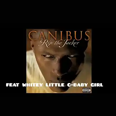 Picture for song 'noreturncanibusfeatwhiteyalsofeatc-baby girl' by artist 'Eminem 2'