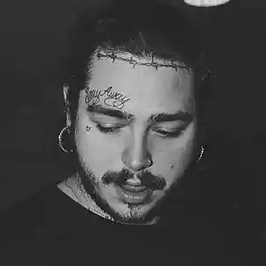 Picture for song 'COASTLINE *Post Malone*' by artist 'XXXMAKEITBOUNCE'