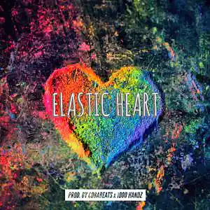Picture for song 'Elastic Heart' by artist '1000 Handz'