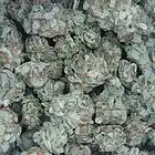 Picture for song '**JBxSMOKINLOUD(FREEDL)**' by artist 'Major League Pro'