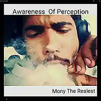 Picture for song 'Ballin- Mony The Realest (Dirty) ' by artist 'Mony The Realest'