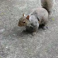 Picture for song 'How Would it Feel?' by artist 'Altered Egos Band'