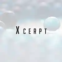 Picture for song 'Xcerpt' by artist 'JETT1 by Dizzee'