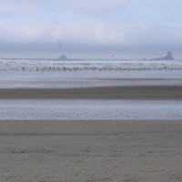 Picture for song 'Estuary' by artist 'Ed Drury'