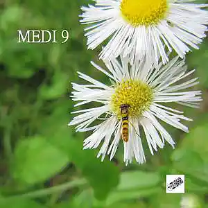 Picture for song 'MEDI 9' by artist 'Eizi Hirahara'