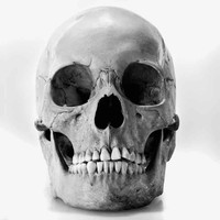 Picture for song 'The Valley Of Death' by artist 'Henrik Jespersen'