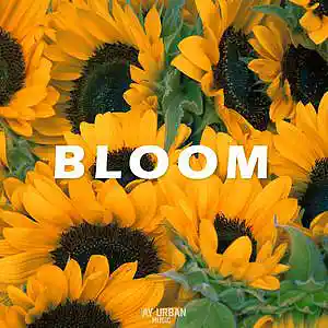Picture for song 'Bloom (Chill Deep House Type Beat)' by artist 'JayUrbanMusic'