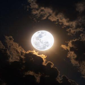 Picture for song 'OTRA NOCHE - Dancehall x Reggaeton Instrumental' by artist 'LIL YAZU BEATS'