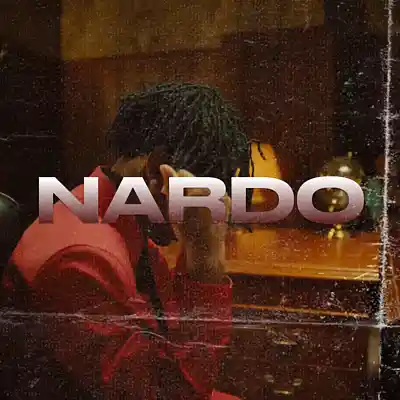 Picture for song 'Nardo (Nardo Wick x 21 Savage)' by artist 'Maestro Da City'