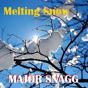 Picture for song 'Melting Snow' by artist 'Major Snagg'