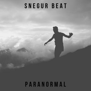 Picture for song 'Paranormal' by artist 'Snegur'