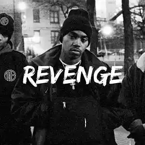 Picture for song 'REVENGE' by artist 'Toma Beatz'