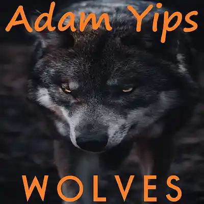 Picture for song 'Wolves ft Nomeli' by artist 'Adam Yips'