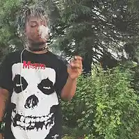 Picture for song 'JUL (FREE DL !!) *JUICE WRLD x LIL SKIES*' by artist 'BRAVESTARR'