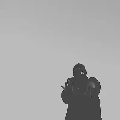 Picture for song 'Crow' by artist 'Empaldo Beats'