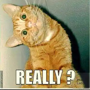 Picture for song 'for real' by artist 'Oson'