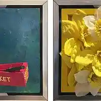 Picture for song 'Nantucket From Concentrate: Appearance Fee' by artist 'paul gorman and the hypnotist collectors'