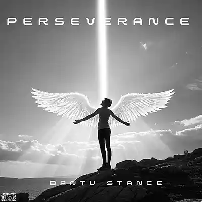 Picture for song 'PERSEVERANCE' by artist 'BANTU STANCE'