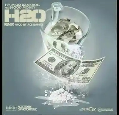 Picture for song 'Fly Migo Bankroll Type Beat - The White' by artist 'BasicHaddock4'