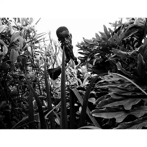 Picture for song 'Pigs Fly' by artist 'Dxn Flxp'