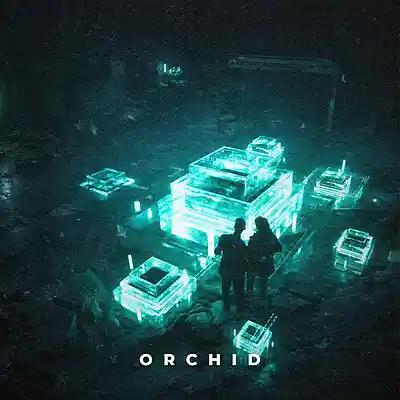 Picture for song 'Orchid' by artist 'Erawy'