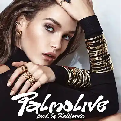 Picture for song 'Palmolive (Aminor 176bpm) @kalifornia.lover x @mat' by artist 'Kalifornia'