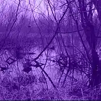 Picture for song '(NEW) Rivers ' by artist 'LEXI BANKS'