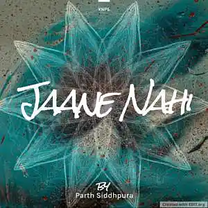 Picture for song 'Jaane Nahi' by artist 'Parth Siddhpura'
