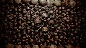 Picture for song 'Bone Wall' by artist 'Pete Moss and the Weed Wackers'
