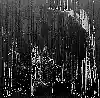 Picture for song 'Torn' by artist 'Sans Edge'