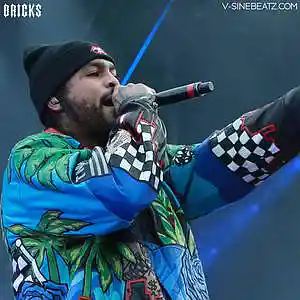 Picture for song 'Bricks (Buy 1 Get 1-3 FREE)' by artist 'V-Sine Beatz'