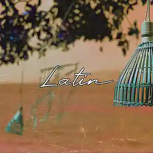 Picture for song 'Latin (Free Download)' by artist 'Frankenstein Beats'